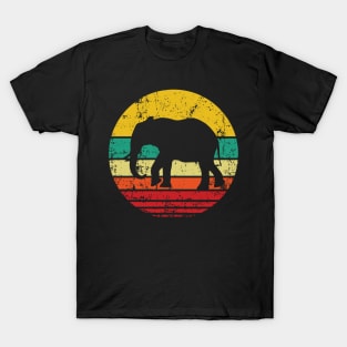 Elephant Sunset T-Shirt